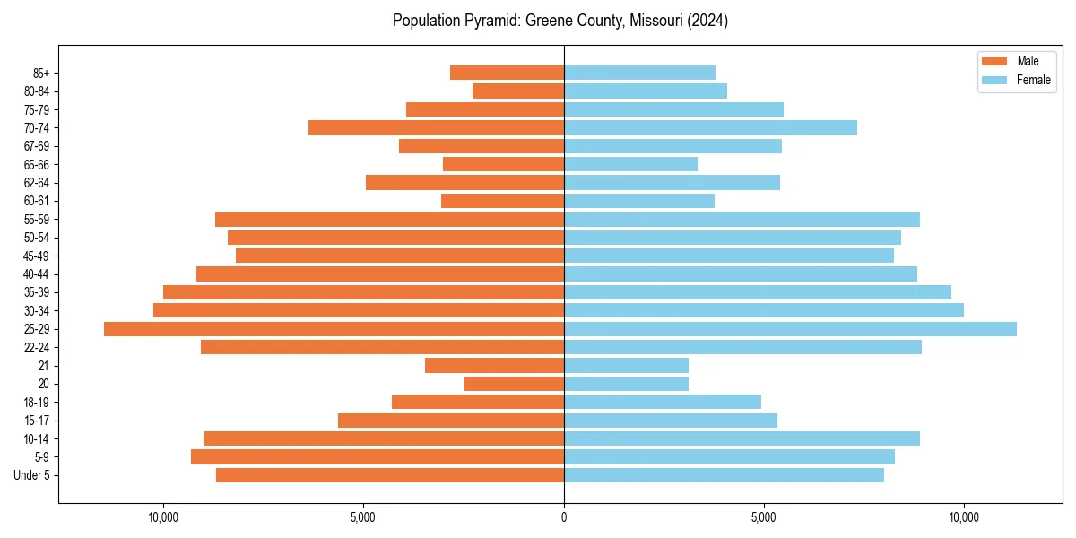 Population pyramid for 