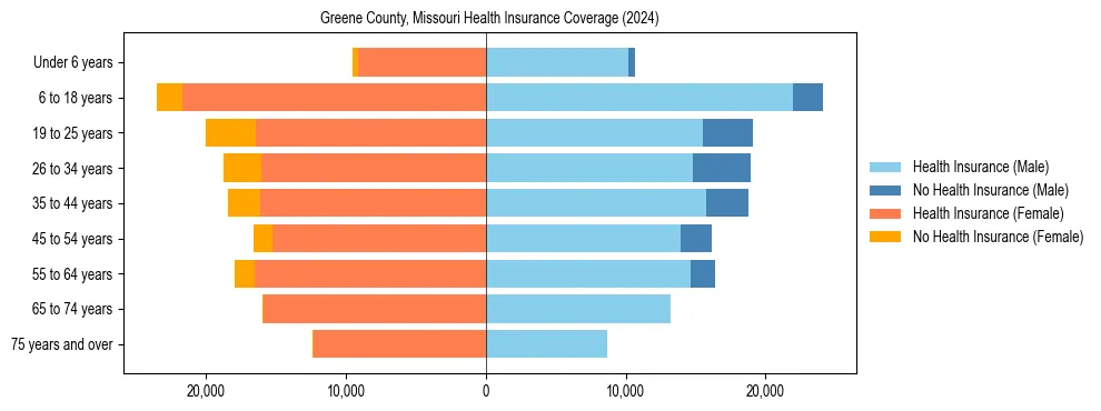 Health insurance pyramid for Greene County, Missouri
