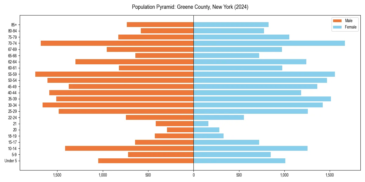 Population pyramid for 