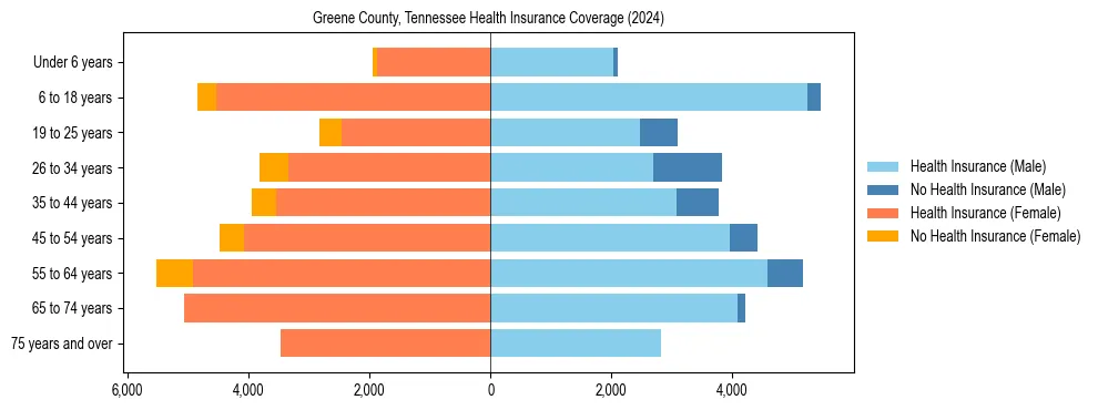 Health insurance pyramid for Greene County, Tennessee