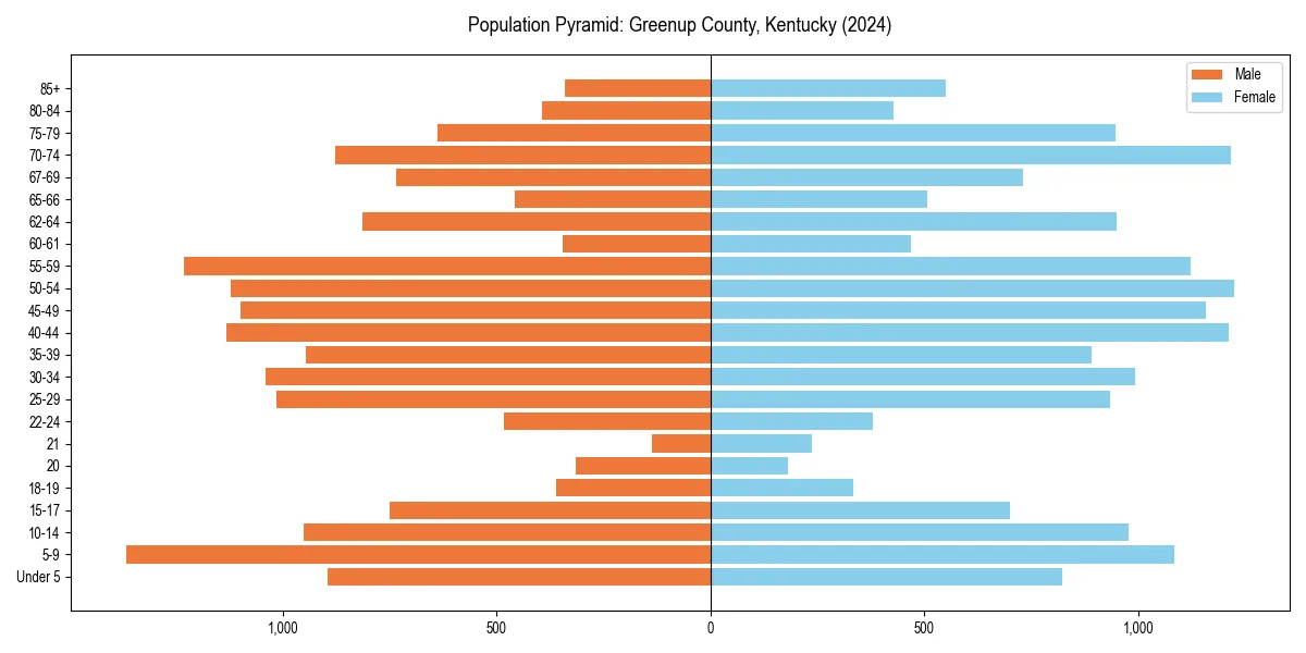 Population pyramid for 
