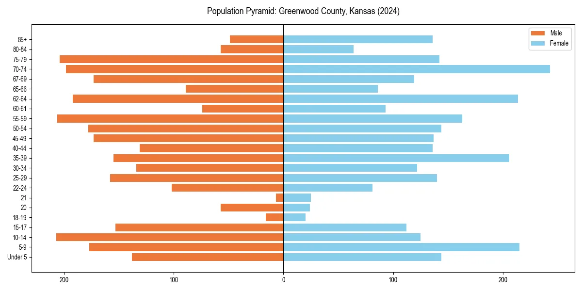 Population pyramid for 