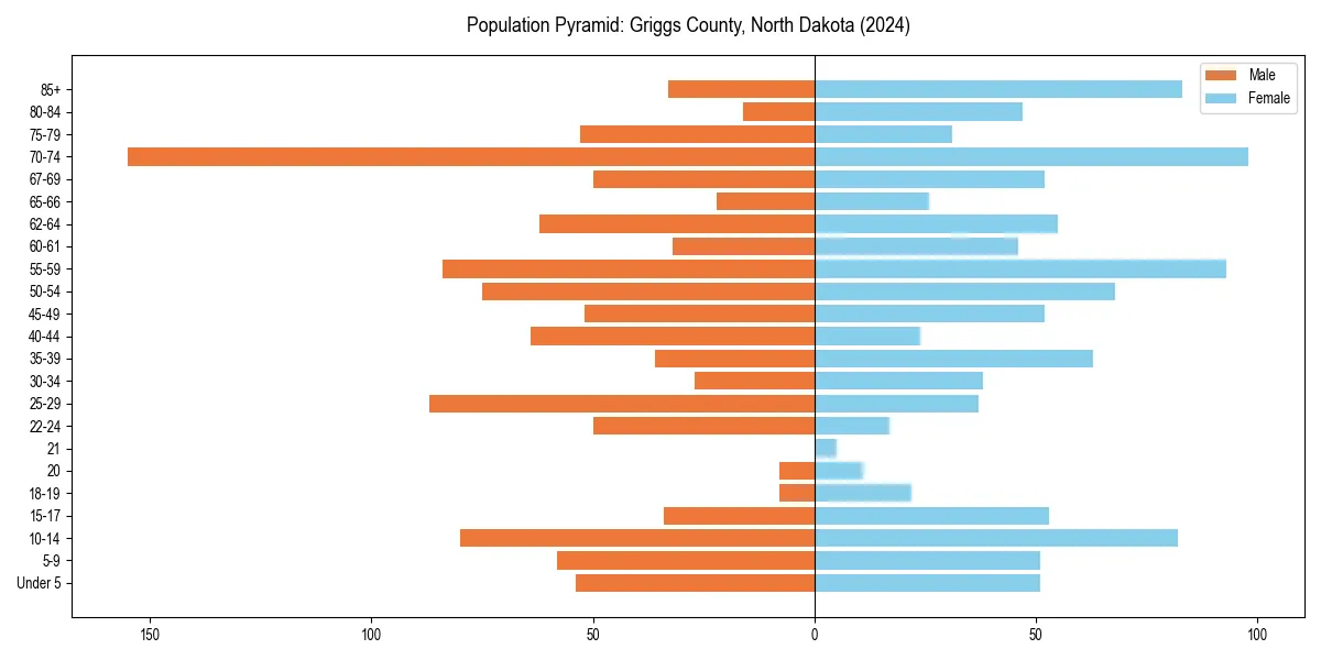 Population pyramid for 