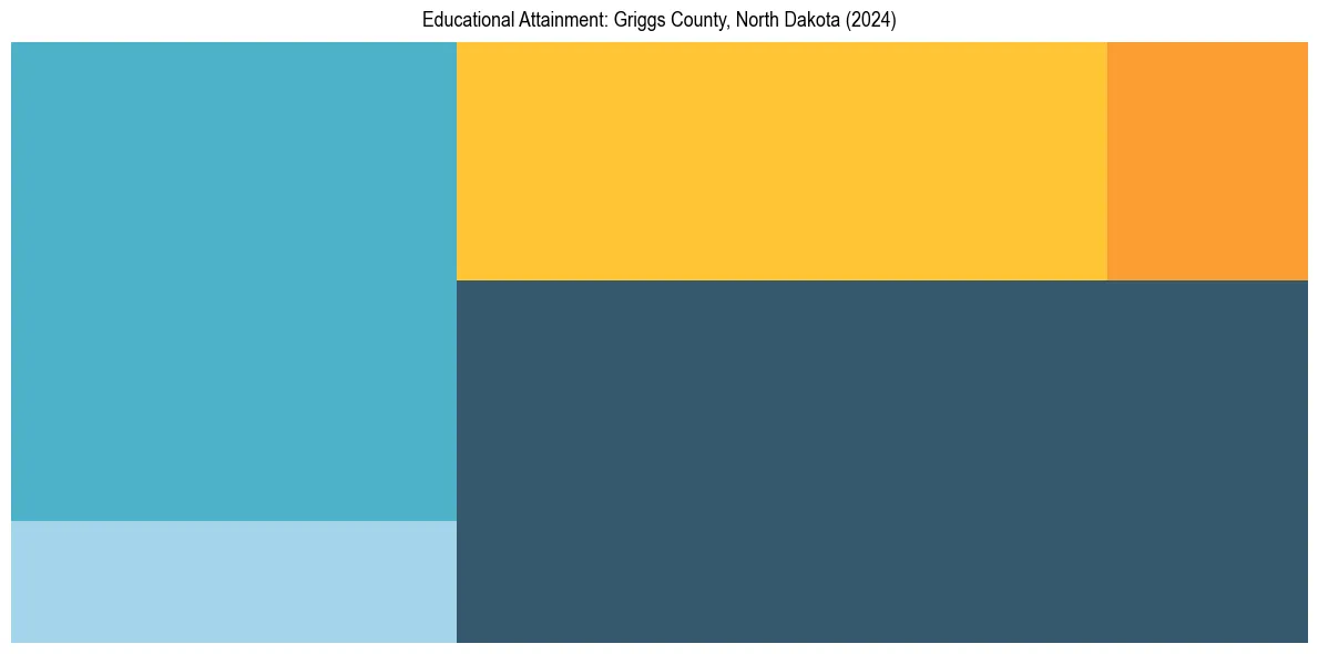 Education Treemap for  in 2024
