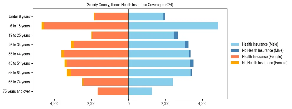 Health insurance pyramid for Grundy County, Illinois