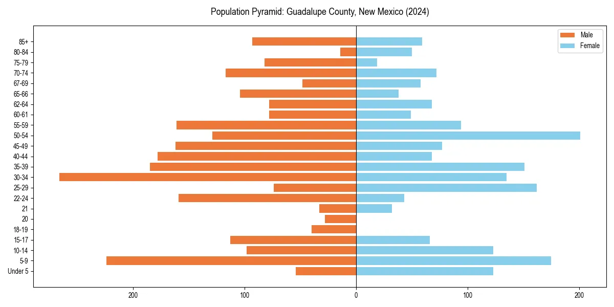 Population pyramid for 