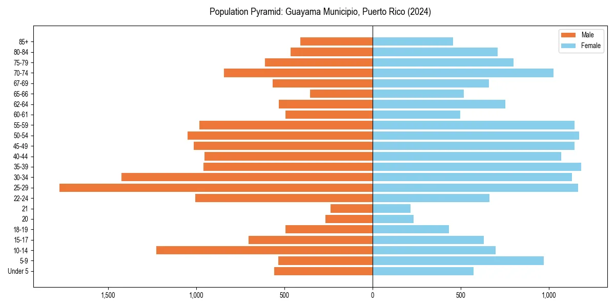 Population pyramid for 
