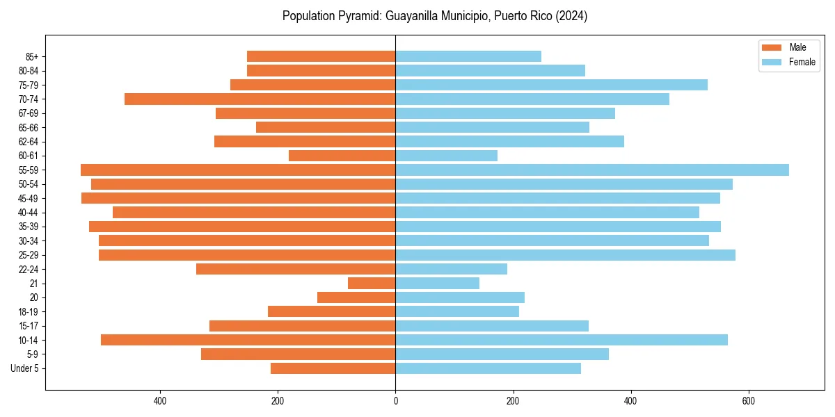 Population pyramid for 