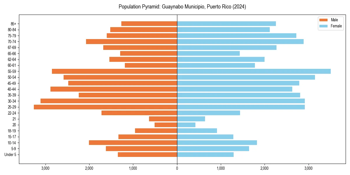 Population pyramid for 