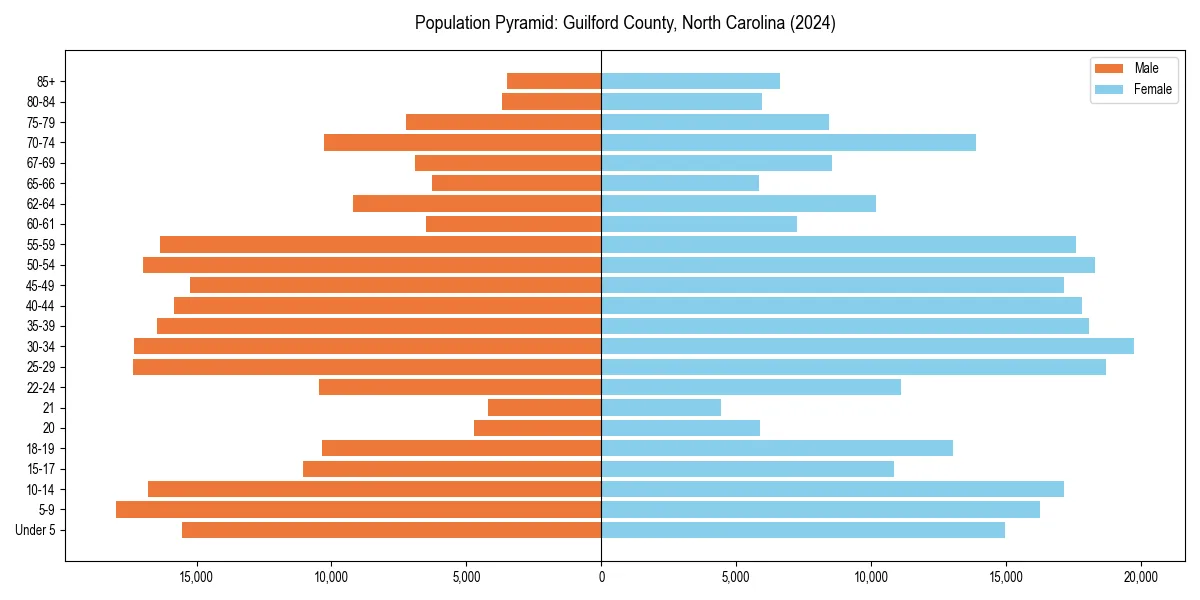 Population pyramid for 