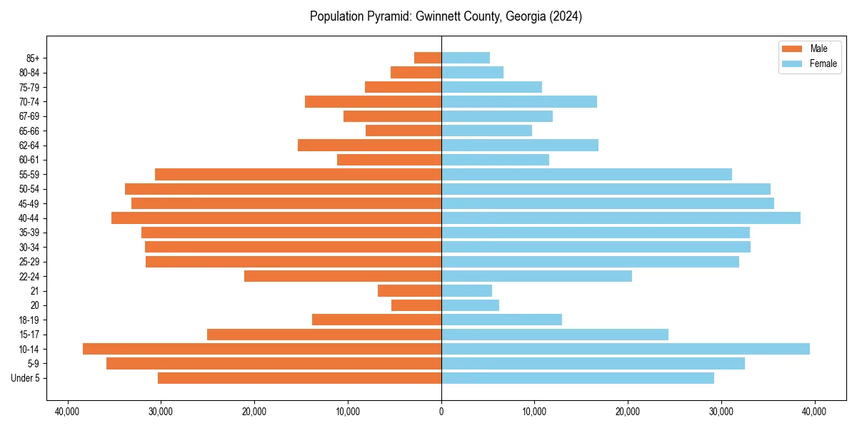 Population pyramid for 