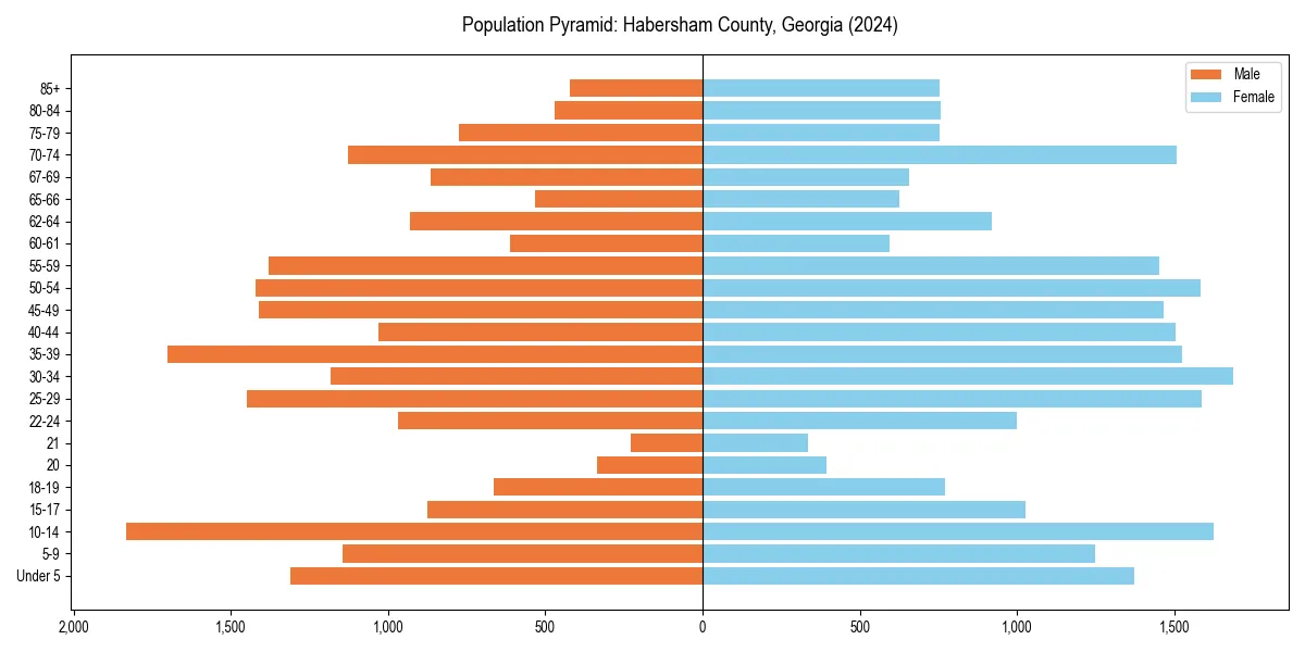 Population pyramid for 