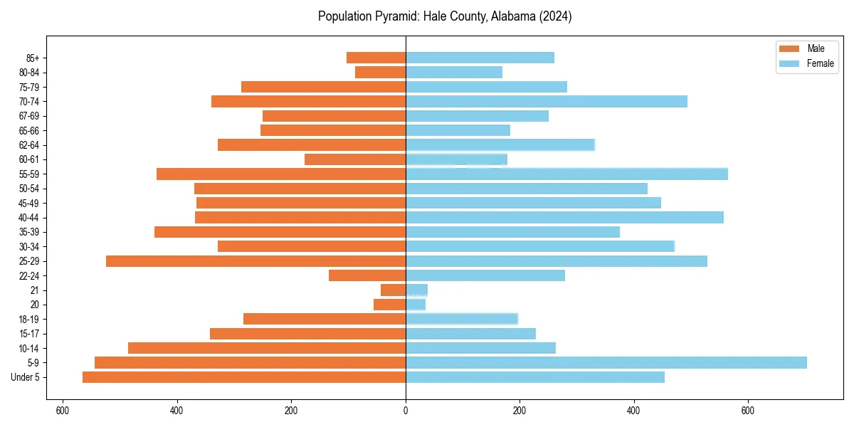 Population pyramid for 