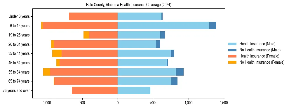 Health insurance pyramid for Hale County, Alabama