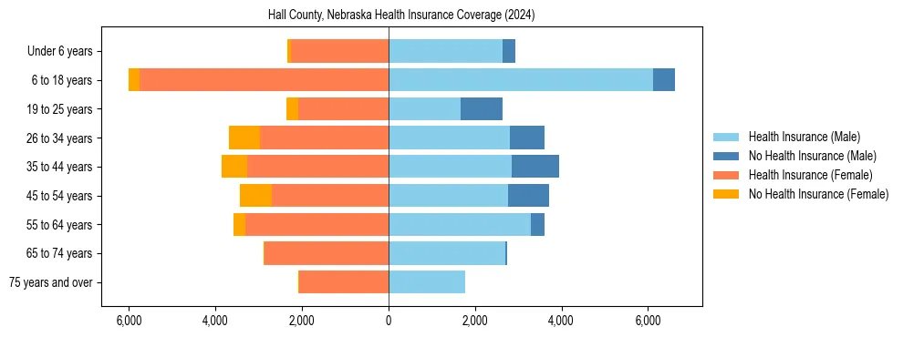Health insurance pyramid for Hall County, Nebraska