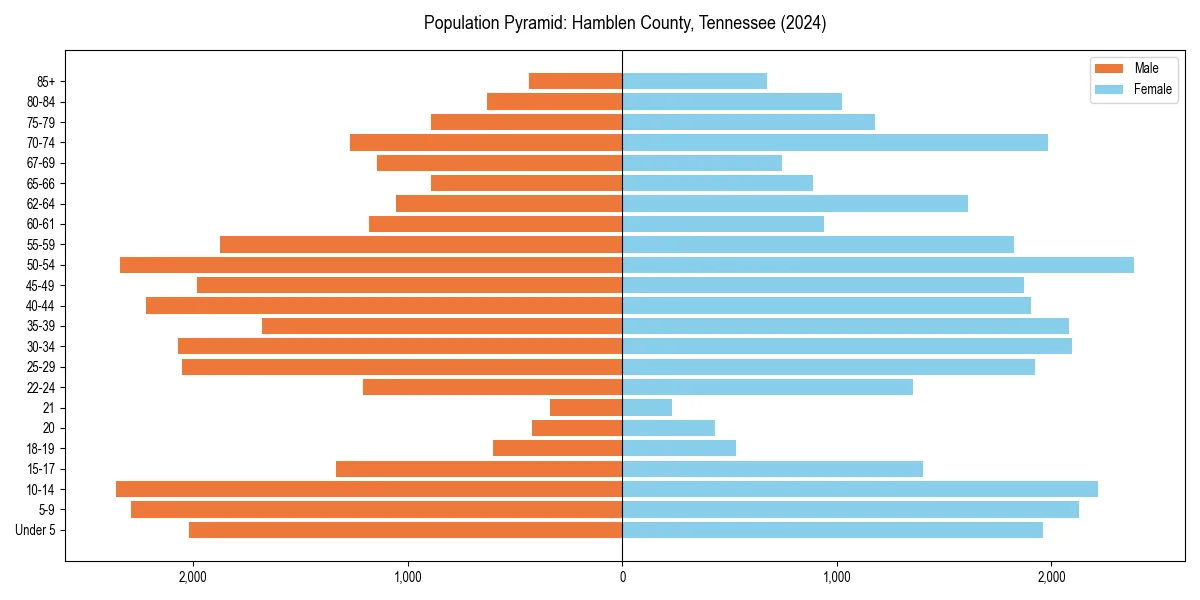 Population pyramid for 