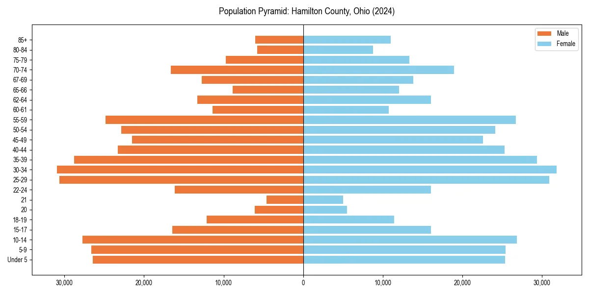 Population pyramid for 