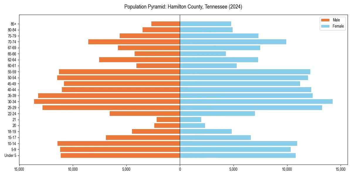 Population pyramid for 
