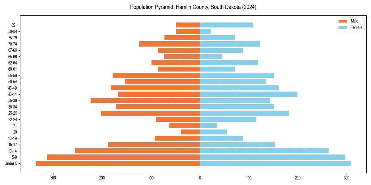 Population pyramid for 