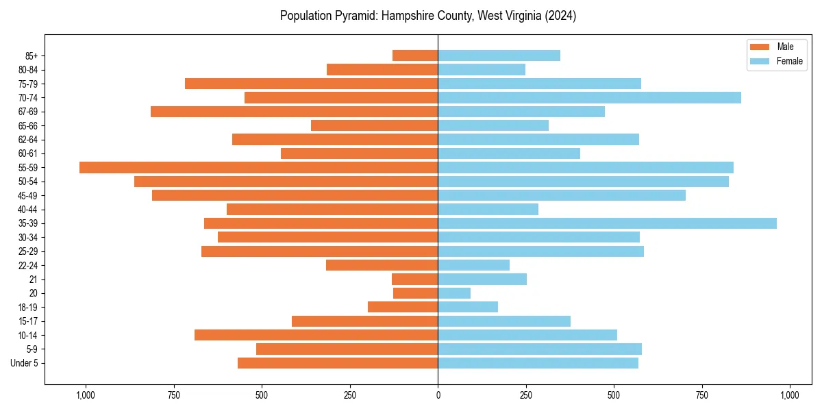 Population pyramid for 