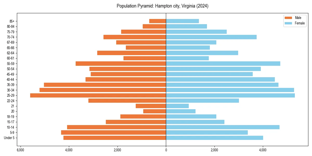 Population pyramid for 