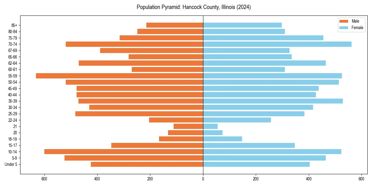 Population pyramid for 