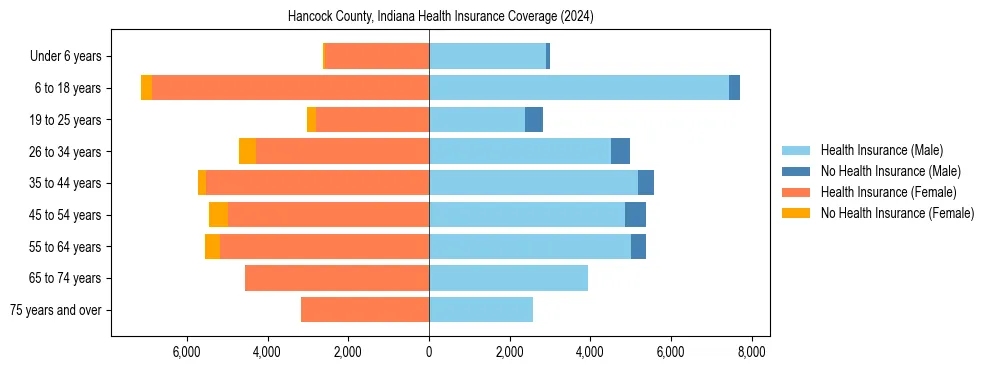 Health insurance pyramid for Hancock County, Indiana