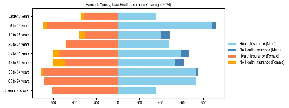 Health insurance pyramid for Hancock County, Iowa