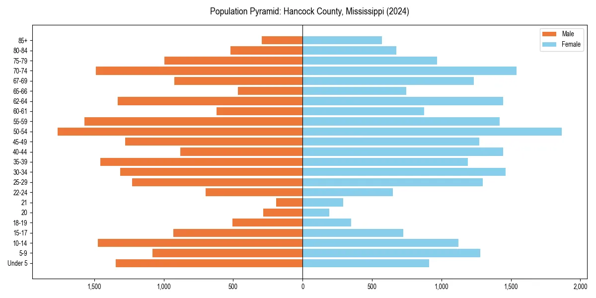 Population pyramid for 