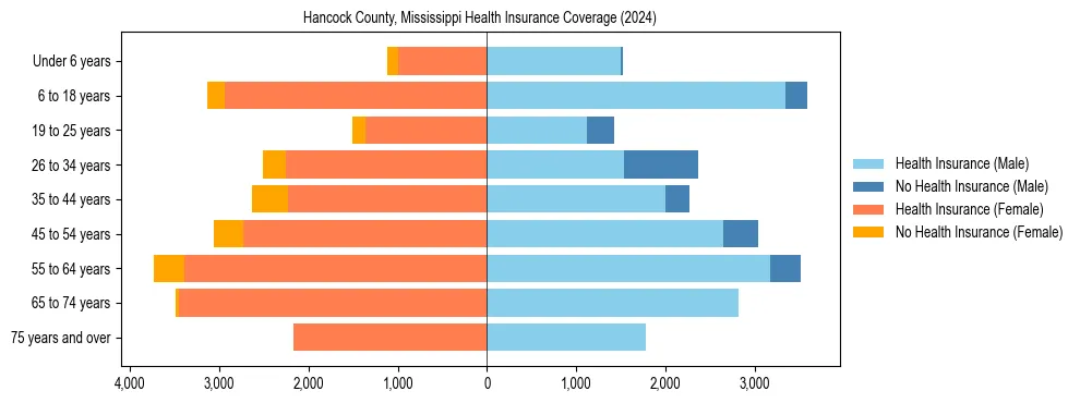 Health insurance pyramid for Hancock County, Mississippi