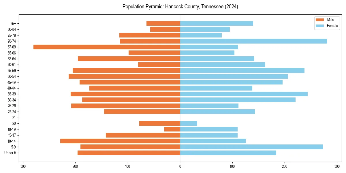 Population pyramid for 