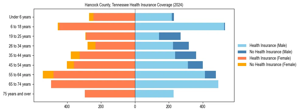 Health insurance pyramid for Hancock County, Tennessee
