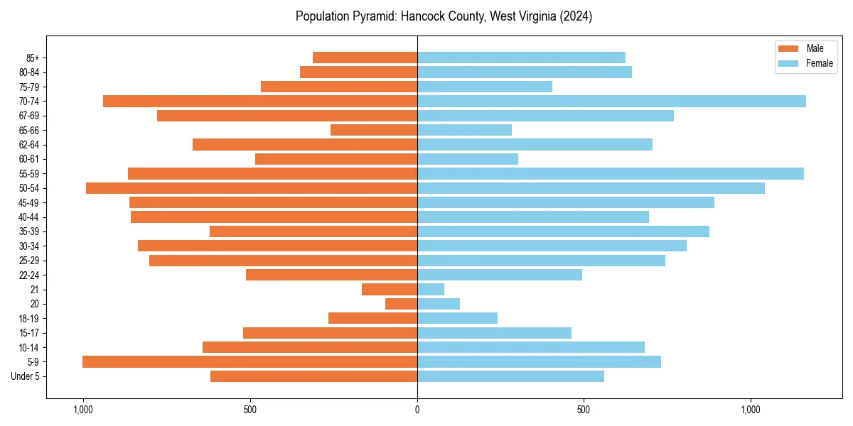 Population pyramid for 