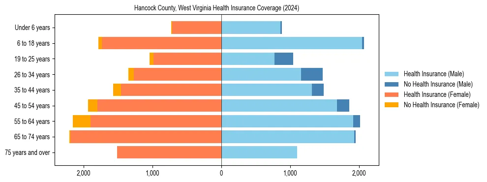 Health insurance pyramid for Hancock County, West Virginia