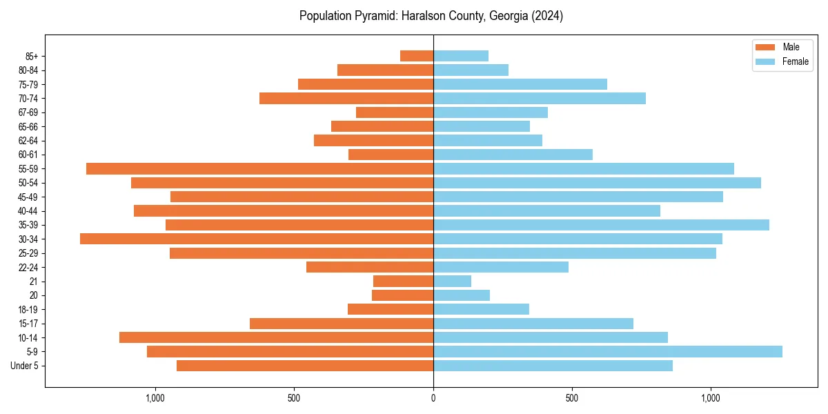 Population pyramid for 