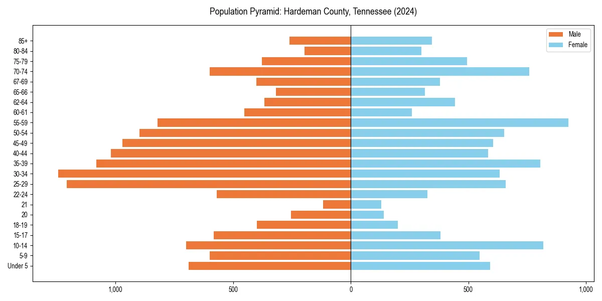 Population pyramid for 