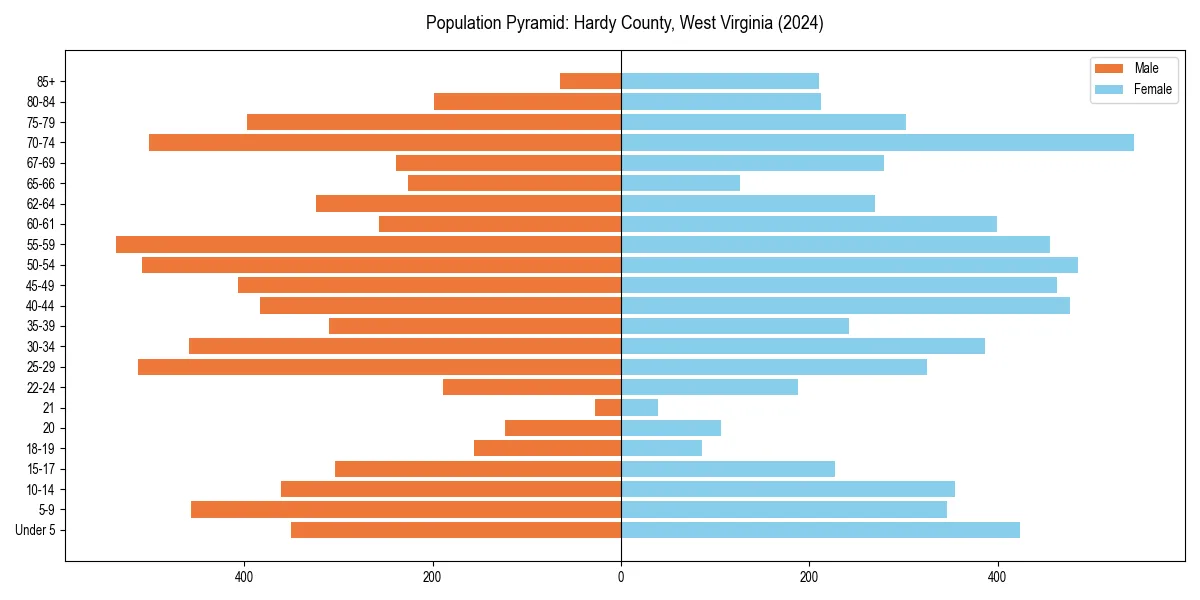 Population pyramid for 