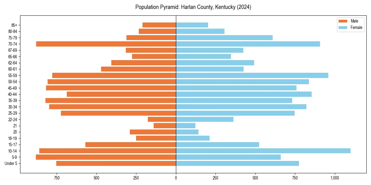 Population pyramid for 