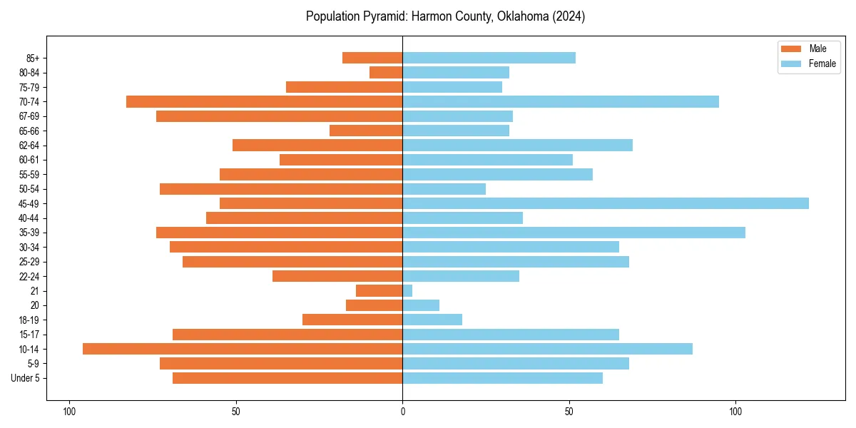 Population pyramid for 