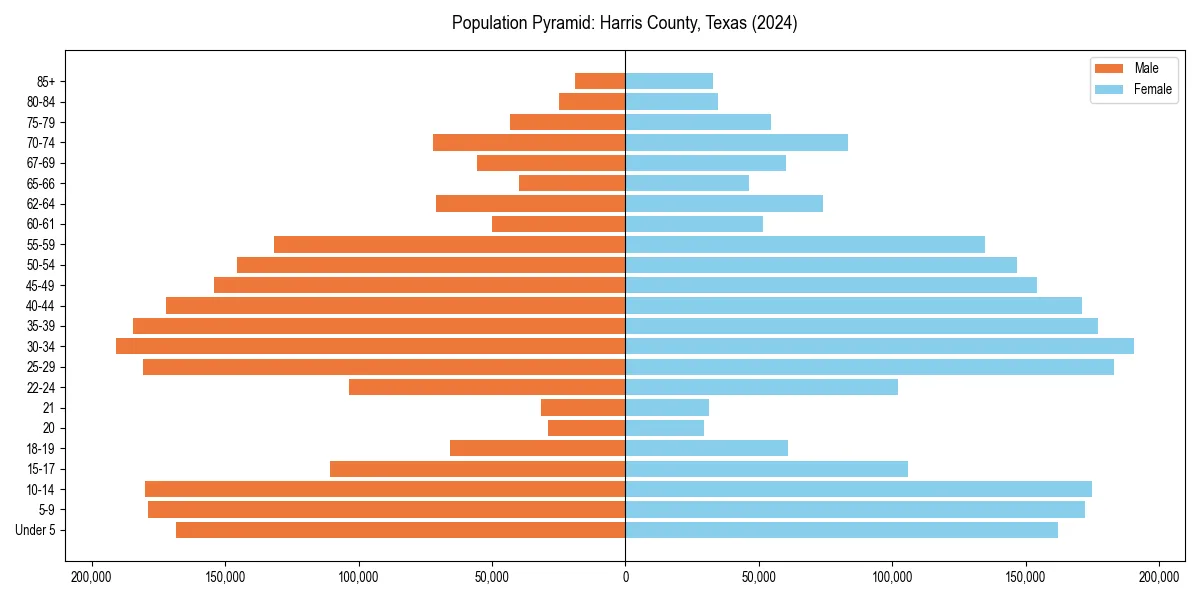 Population pyramid for 
