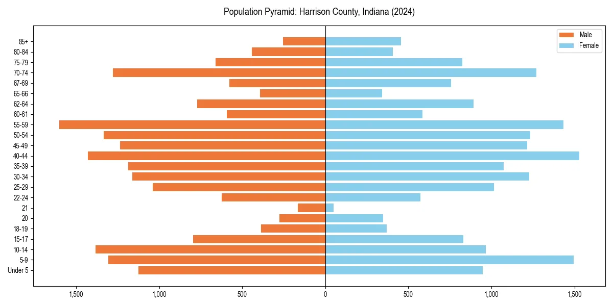 Population pyramid for 