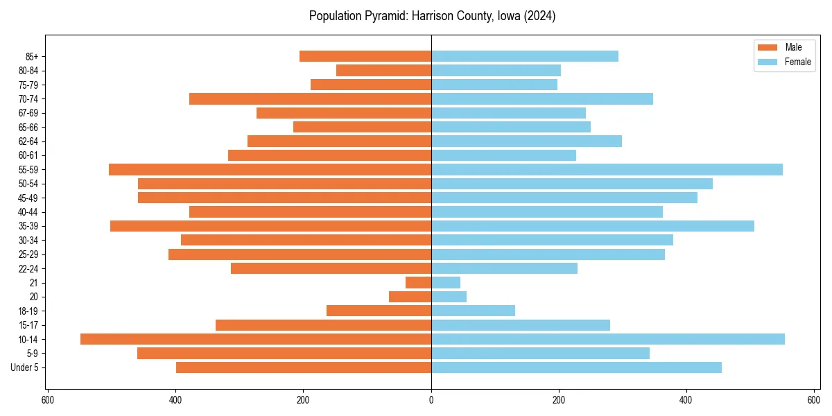 Population pyramid for 