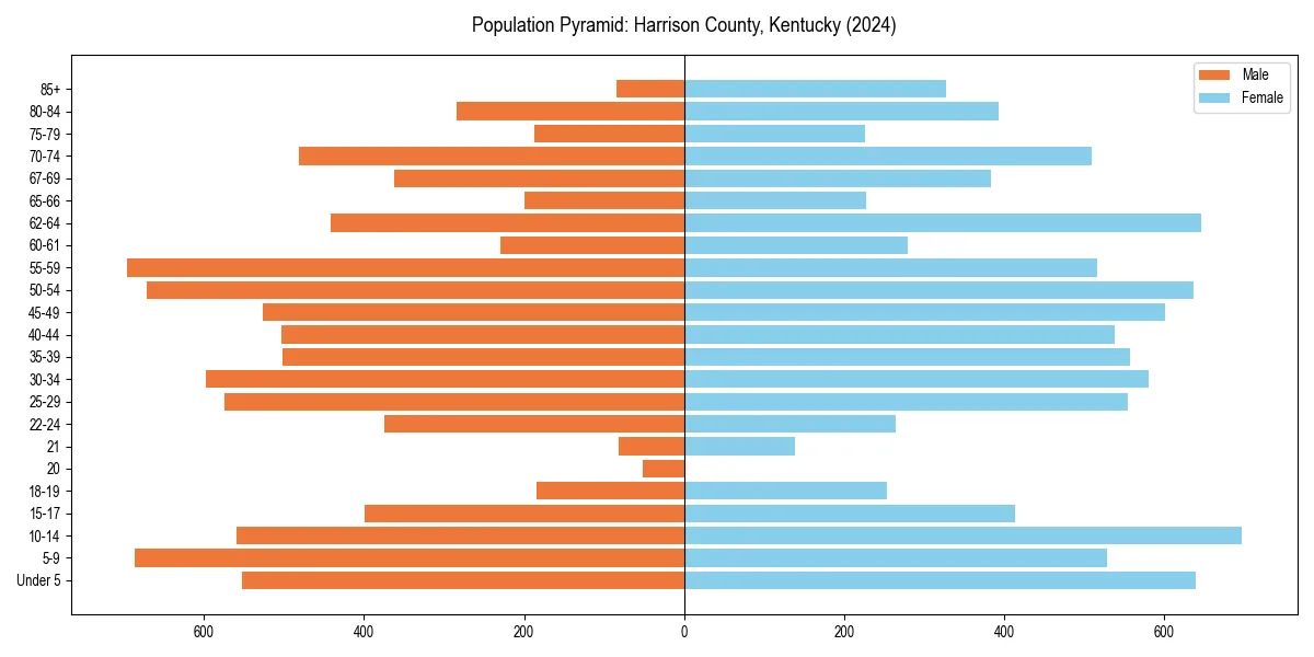 Population pyramid for 