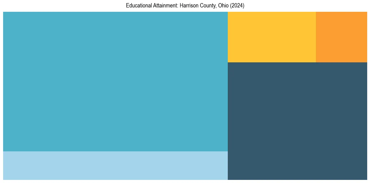 Education Treemap for  in 2024
