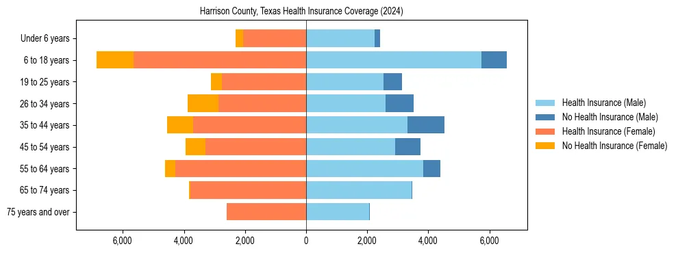 Health insurance pyramid for Harrison County, Texas