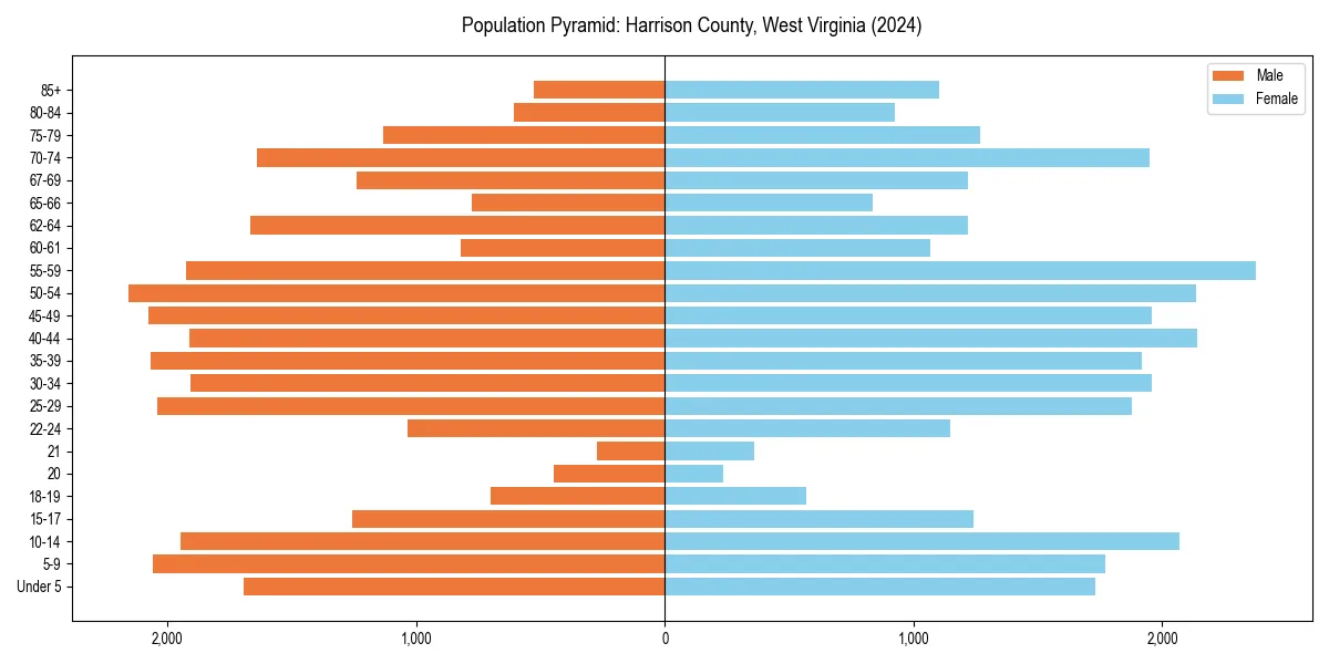 Population pyramid for 