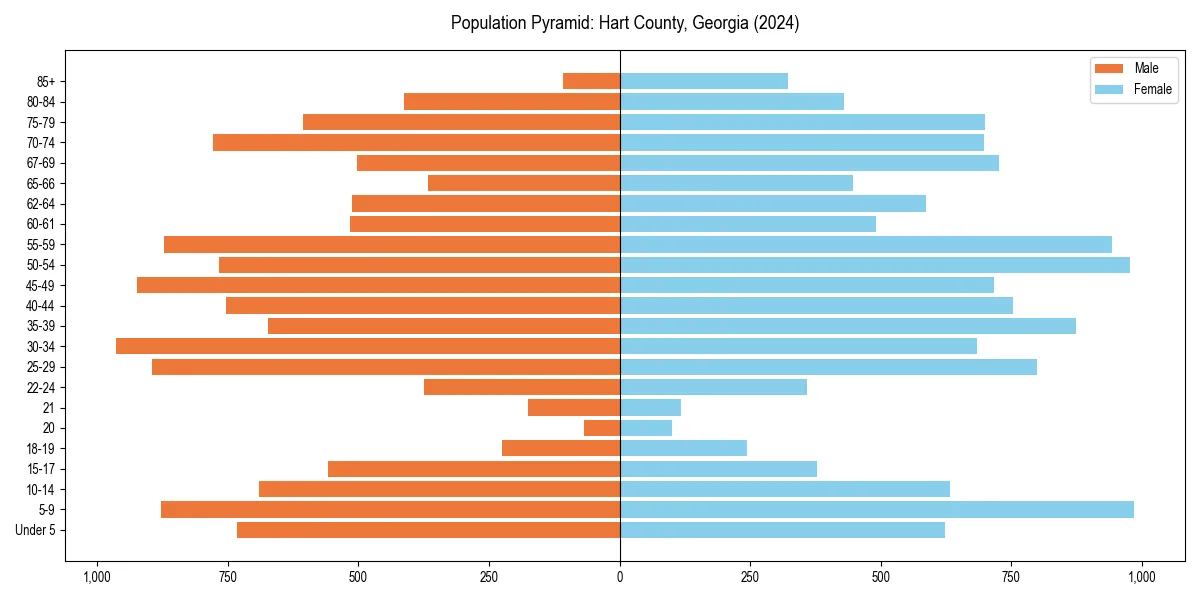 Population pyramid for 