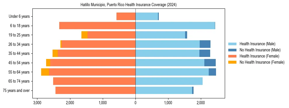 Health insurance pyramid for Hatillo Municipio, Puerto Rico