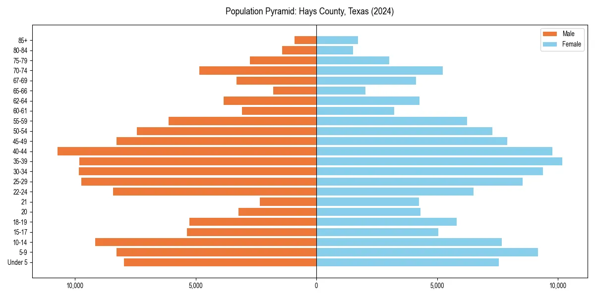 Population pyramid for 