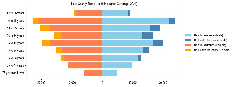 Health insurance pyramid for Hays County, Texas